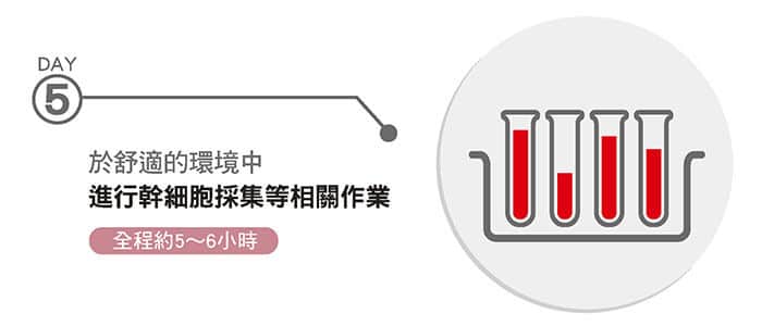 peripheralblood_img06