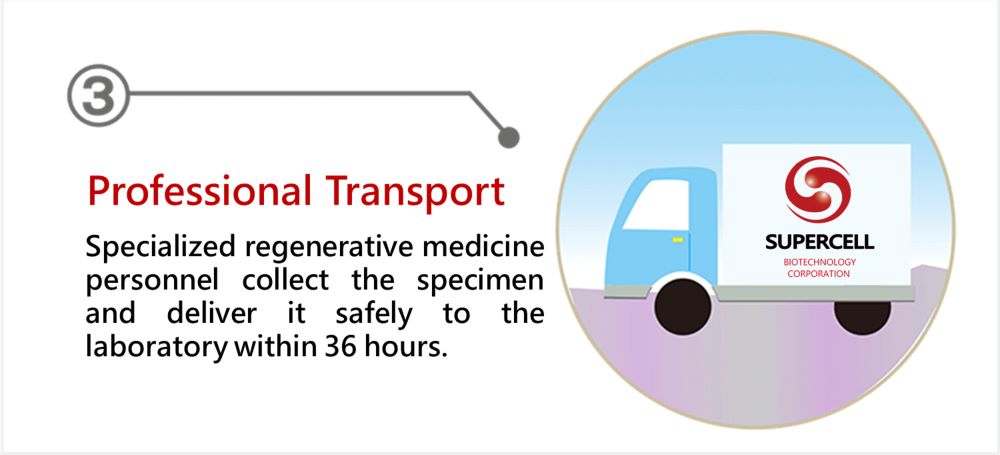 Stem Cell Collection & Preservation Process - 再生緣細胞生技- 臍帶血＆幹細胞專家